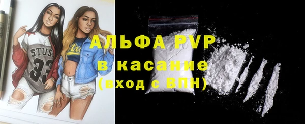 стафф Алексин
